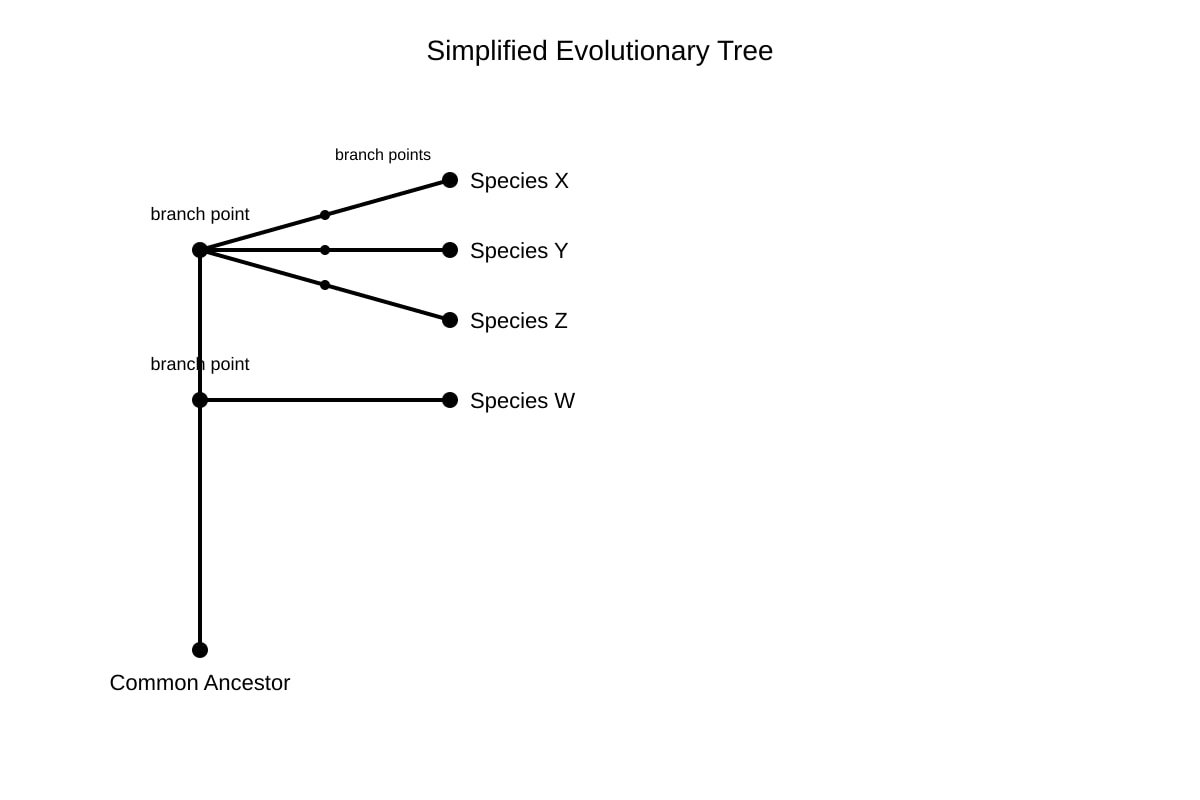Diagram for Q13 (OLEVEL Biology)