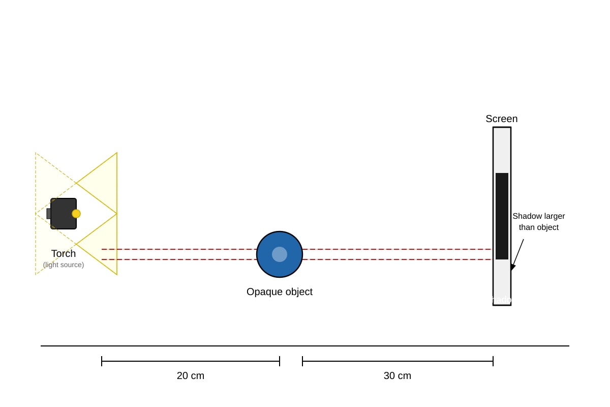 Diagram for Q21 (P5 Science)