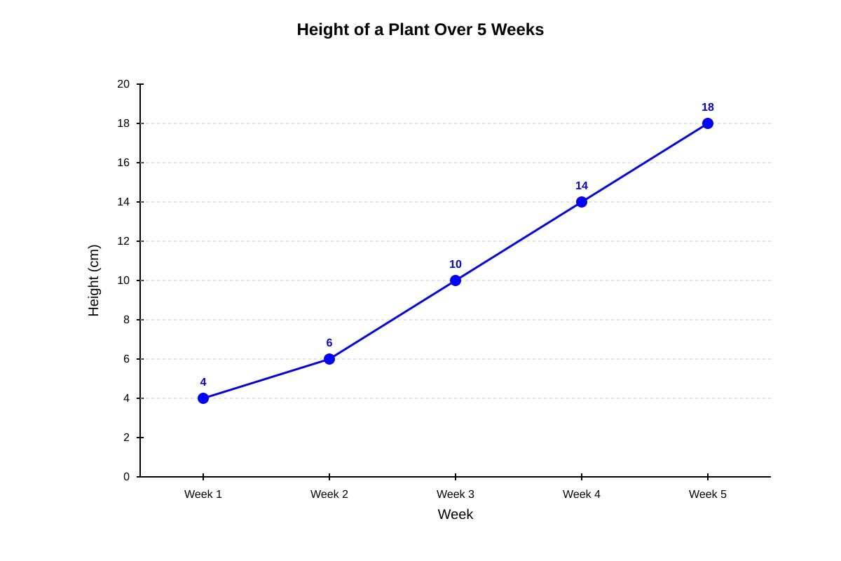 Line Graph for Q13 (P4 Maths)