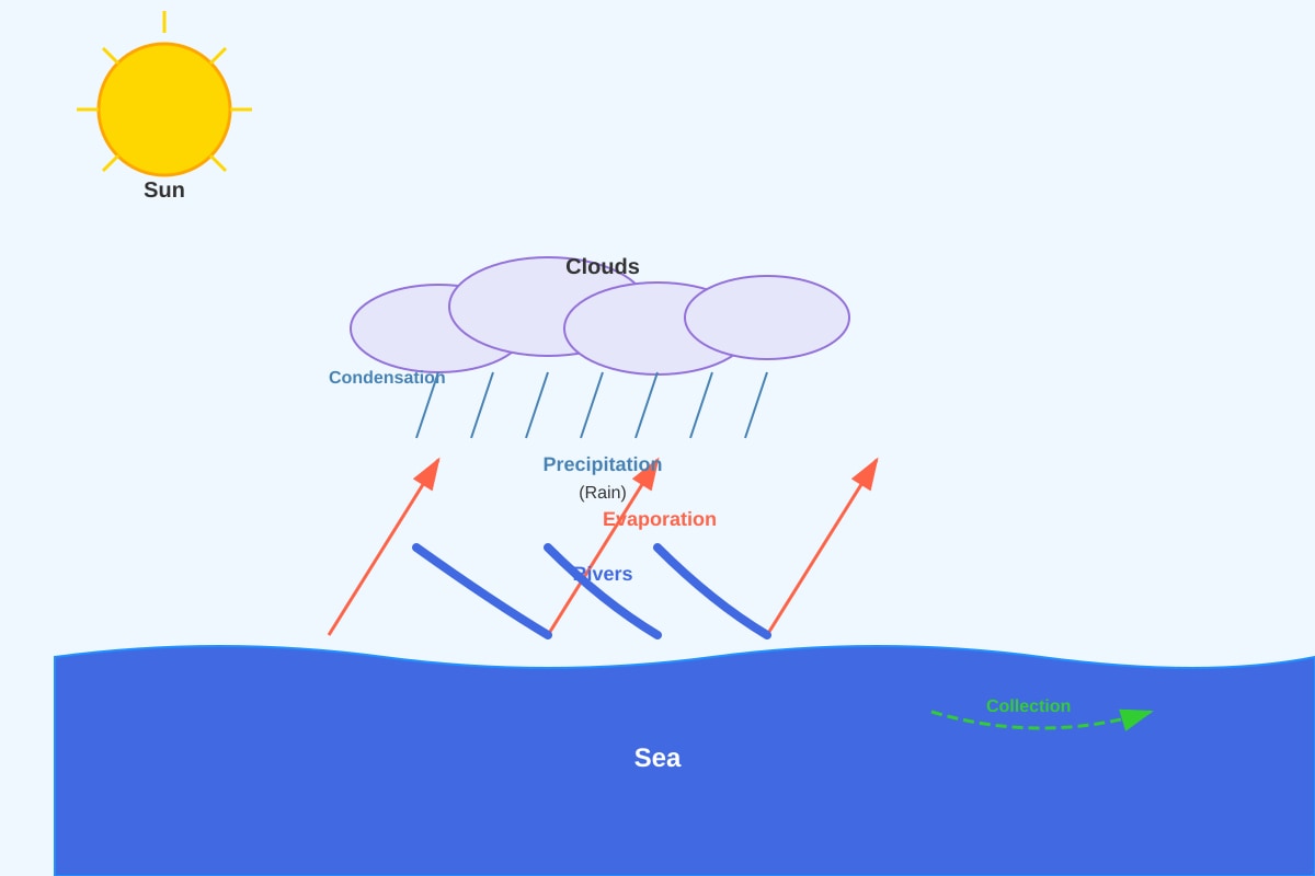 Diagram for Q33 (P4 Science)