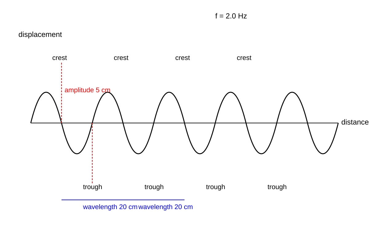 Diagram for Q19 (SEC3 Combined Science)
