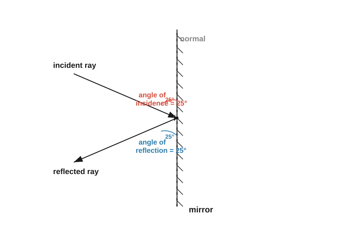 Diagram for Q12 (P6 Science)