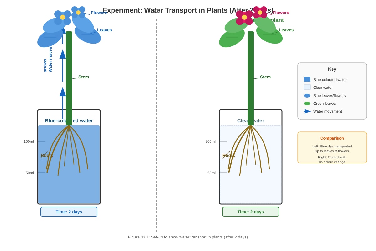 Diagram for Q33 (P4 Science)