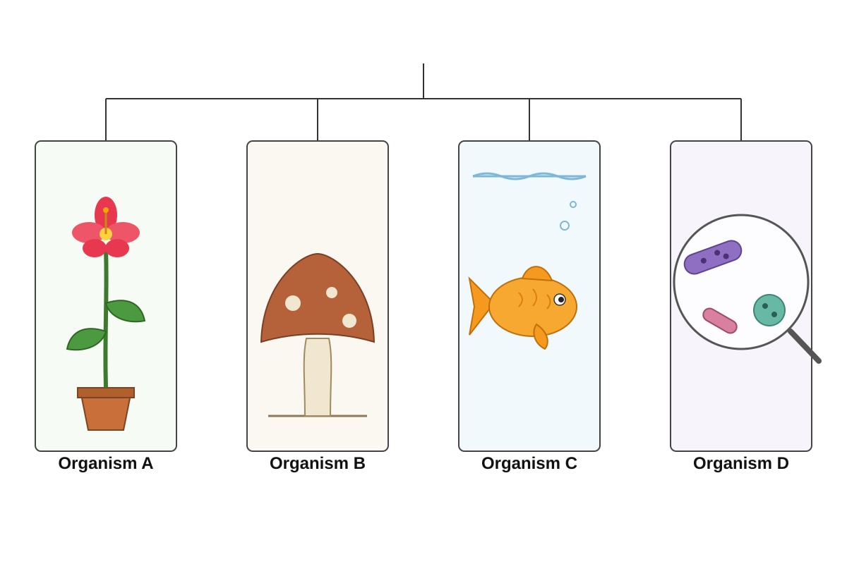 Image for placeholder 1 (P5 Science)
