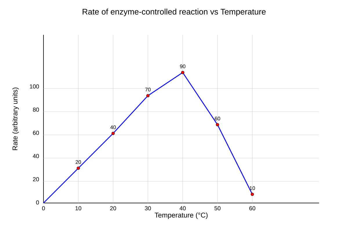 Graph for Q16 (SEC4 Pure Biology)