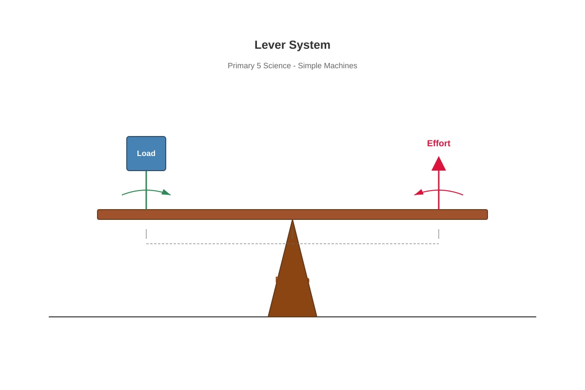 Diagram for Q36 (P5 Science)