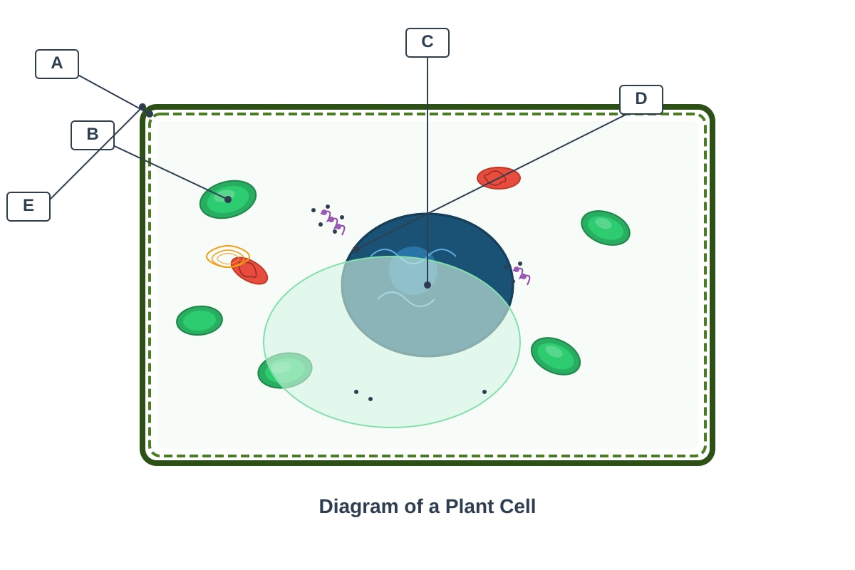 Diagram for placeholder 1 (P5 Science)