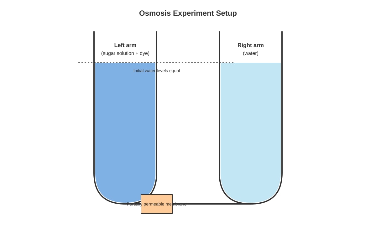 Experimental Setup for Q18 (SEC3 Biology)