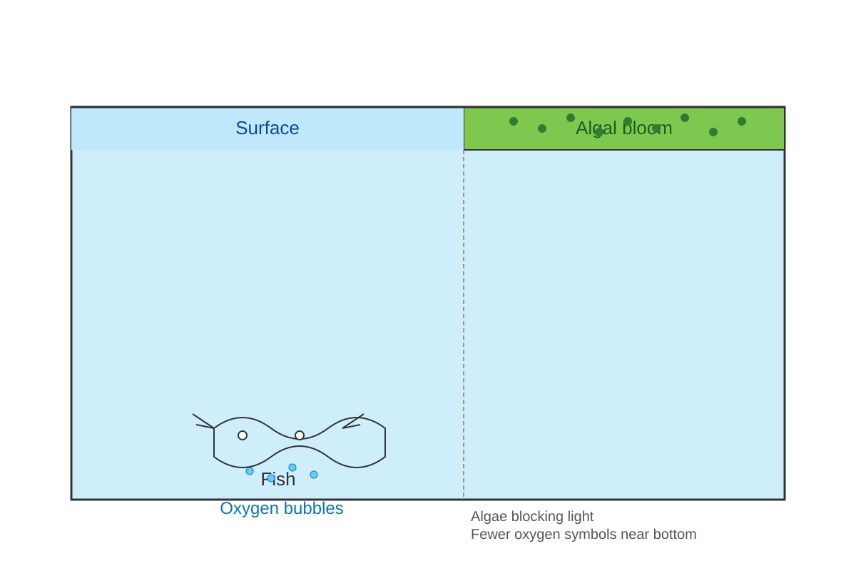 Diagram for Q18 (SEC3 Biology)