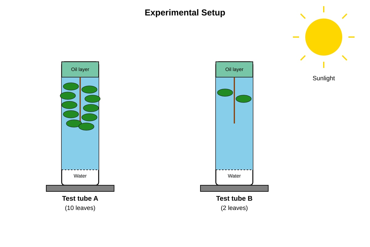 Experimental Setup for Q24 (P5 Science)