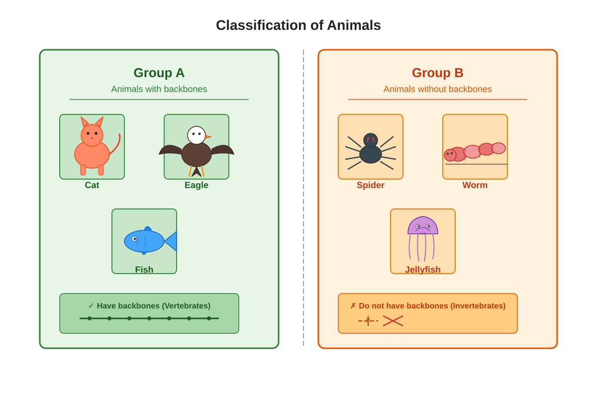 Diagram for Q9 (P6 Science)