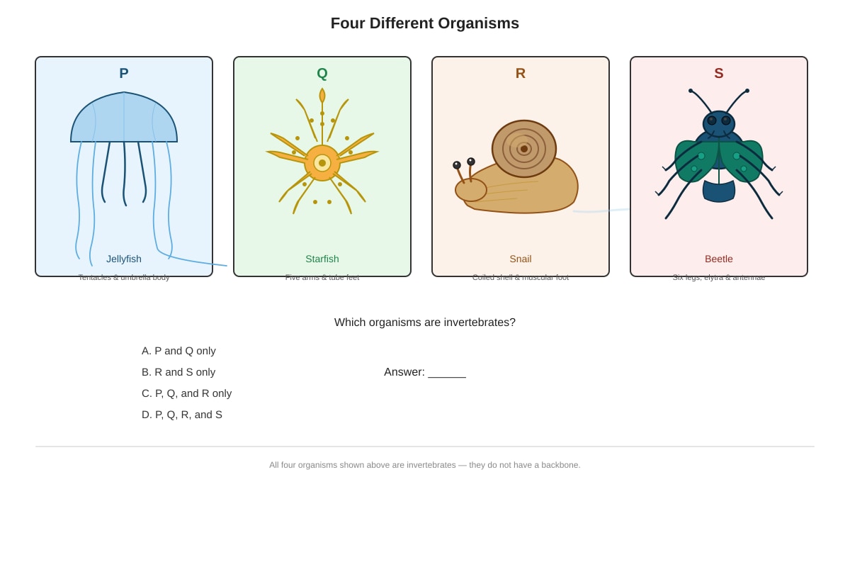 Diagram for Q9 (P6 Science)