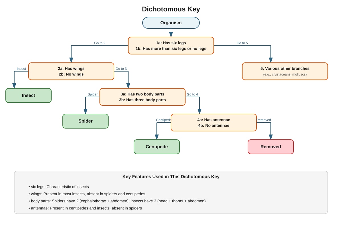 Dichotomous Key for Q16 (P5 Science)