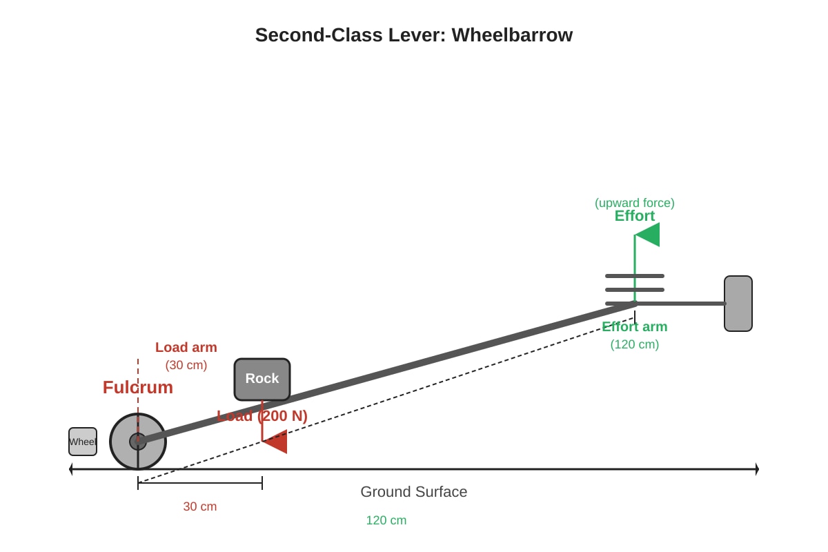 Diagram for Q40 (P5 Science)