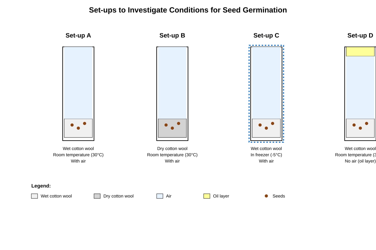 Experimental Setup for Q14 (P6 Science)