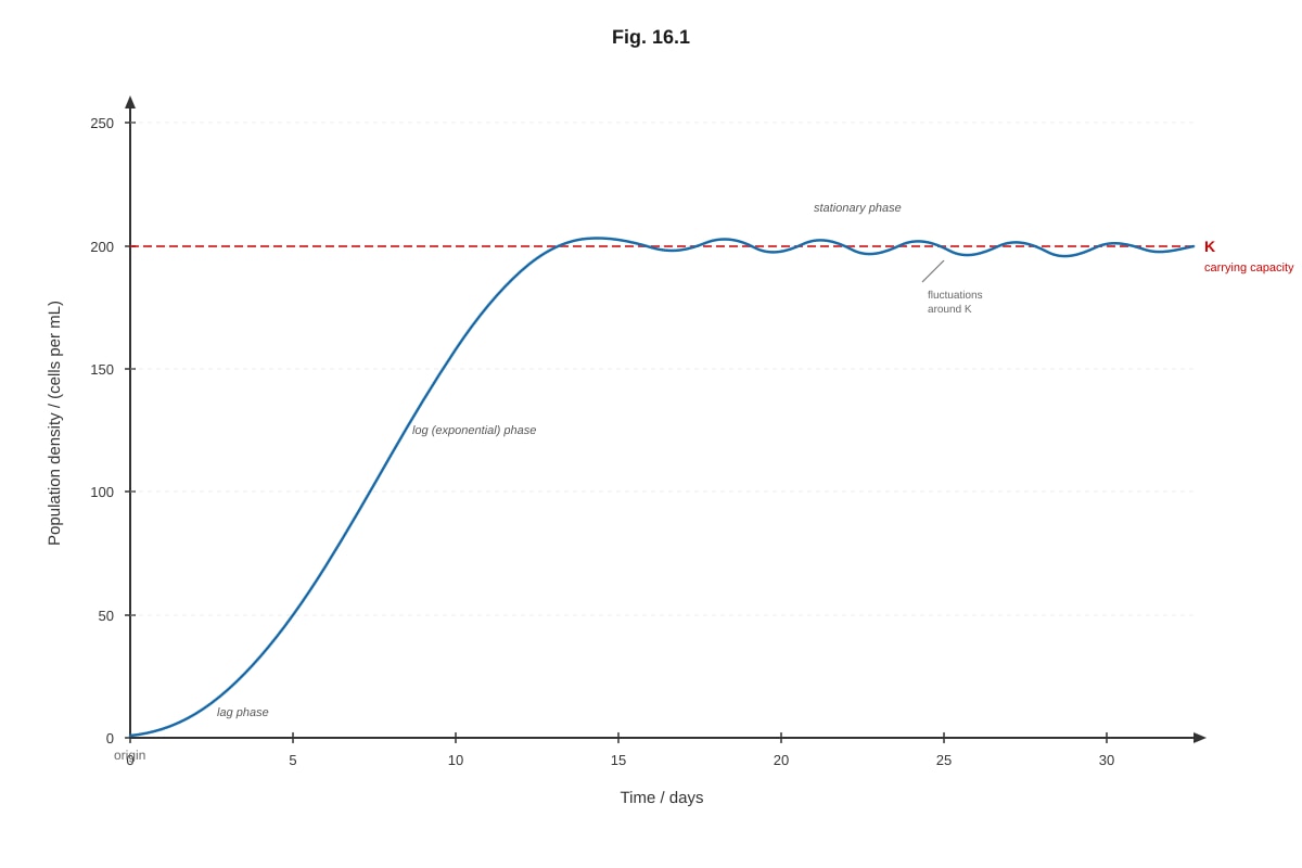 Diagram for placeholder 5 (ALEVEL Biology H2)