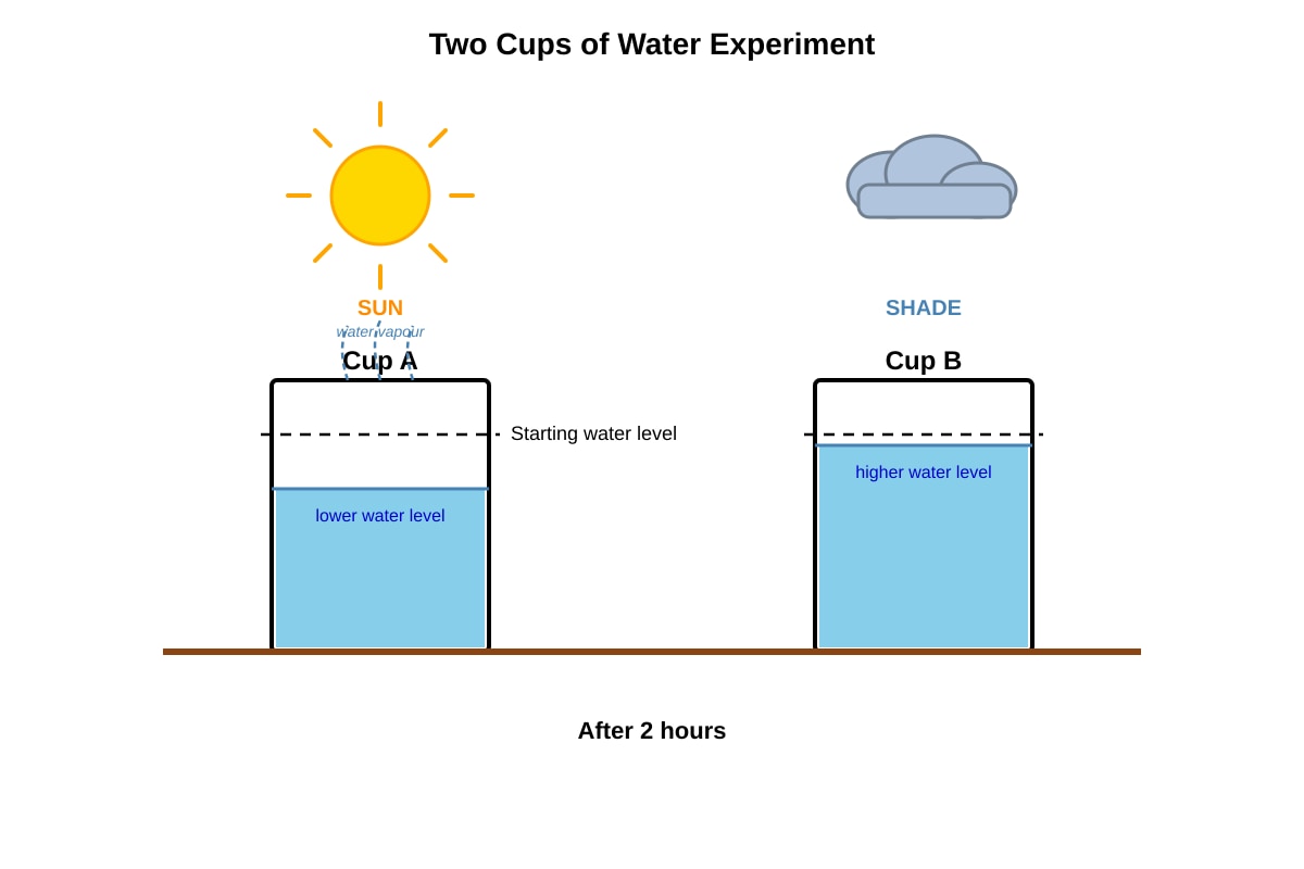 Diagram for Q18 (P3 Science)