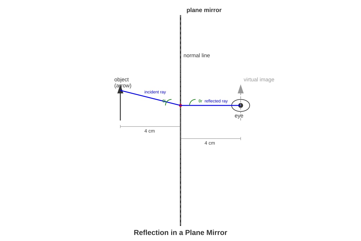 Diagram for Q12 (P6 Science)