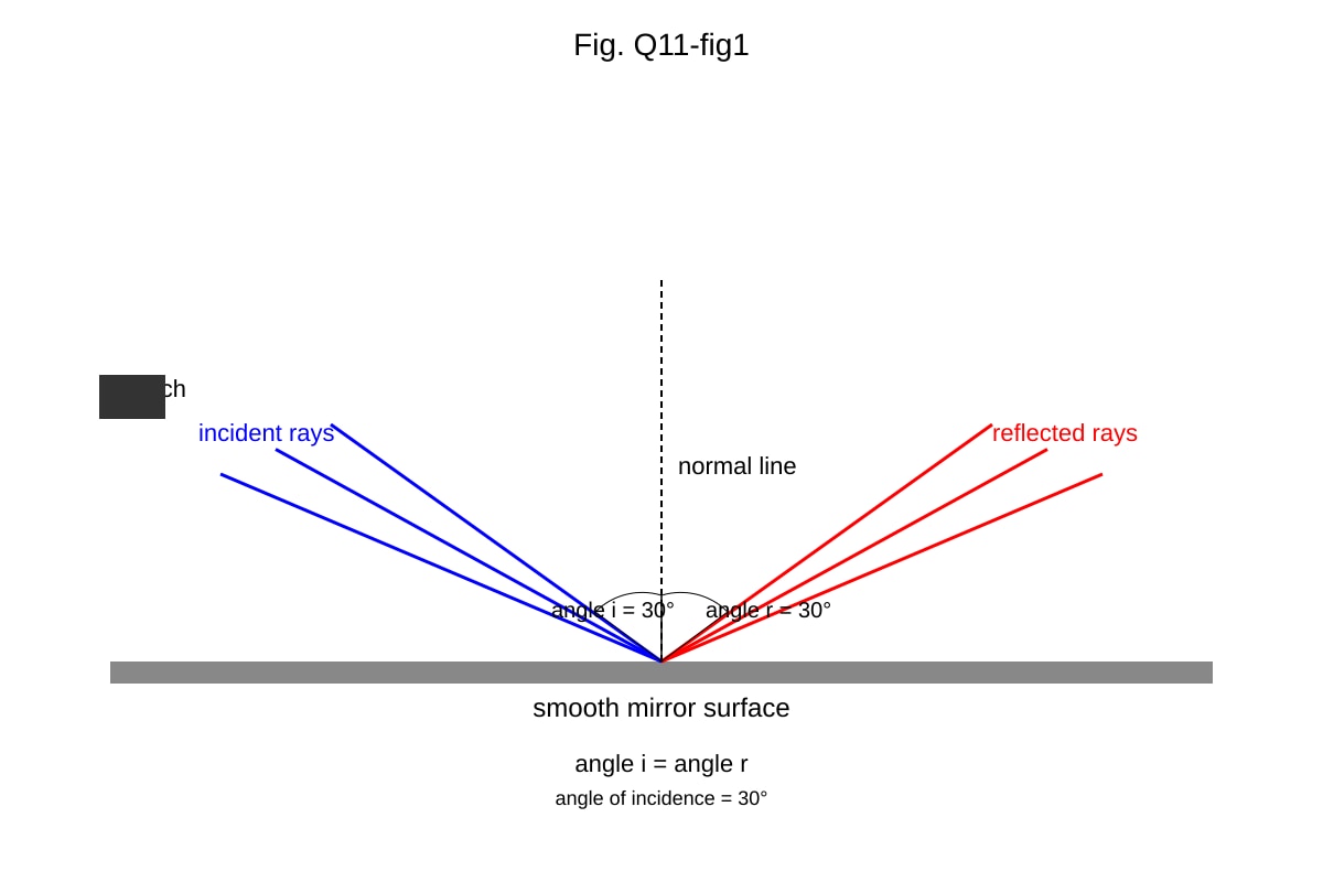 Diagram for Q11 (SEC1 Science)