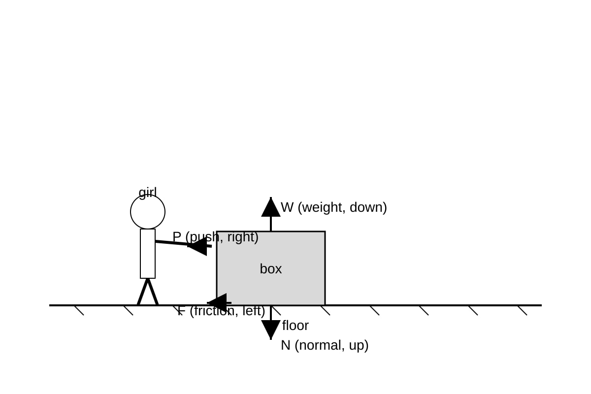 Diagram for 20 (SEC2 Science)