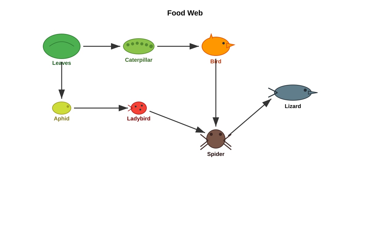 Diagram for Q16 (P6 Science)