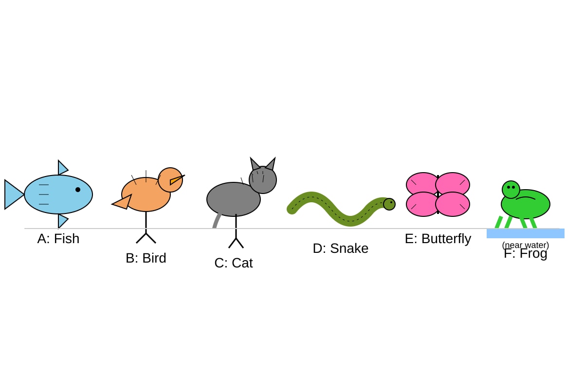 Diagram for Q19 (P3 Science)