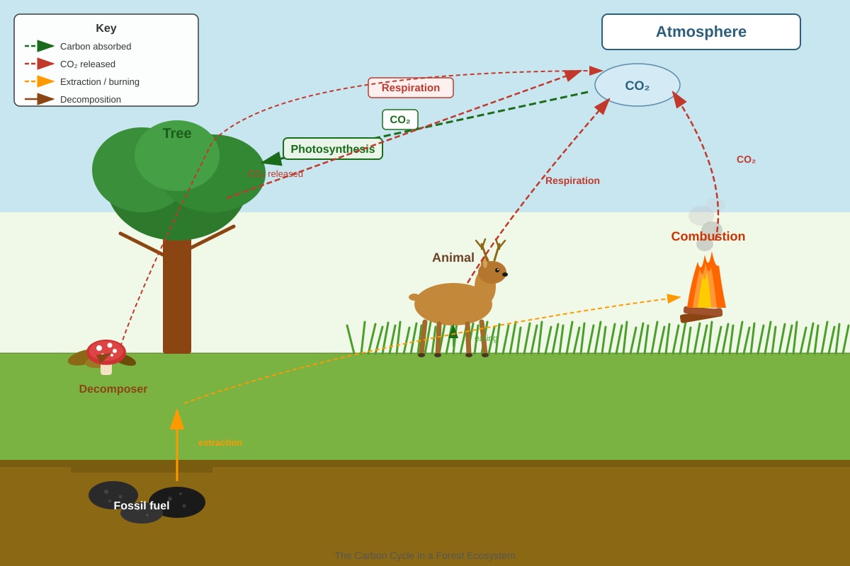 Diagram for Q23 (P6 Science)