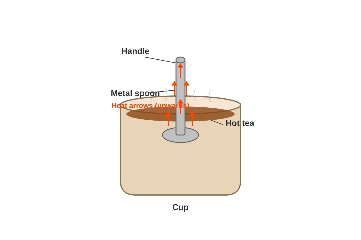 Diagram for Q25 (P4 Science)