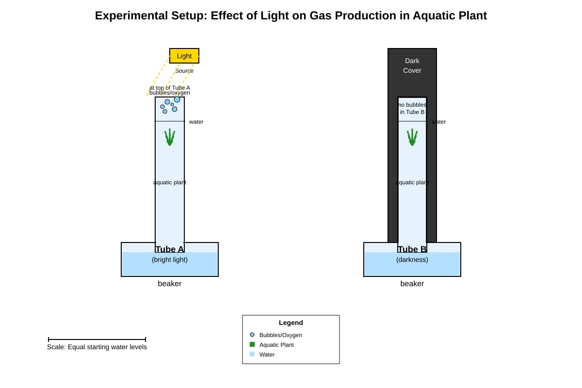 Experimental Setup for Q16 (SEC1 Science)