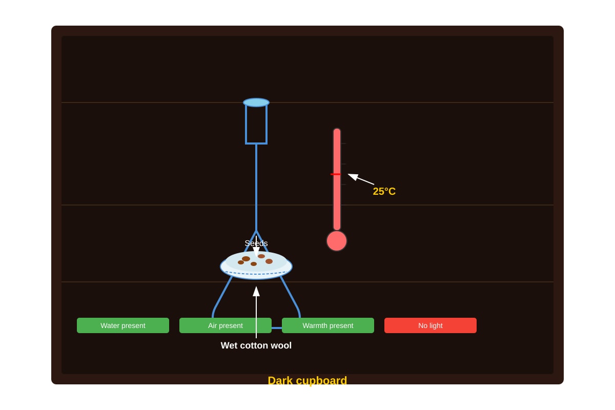 Diagram for Q28 (P5 Science)