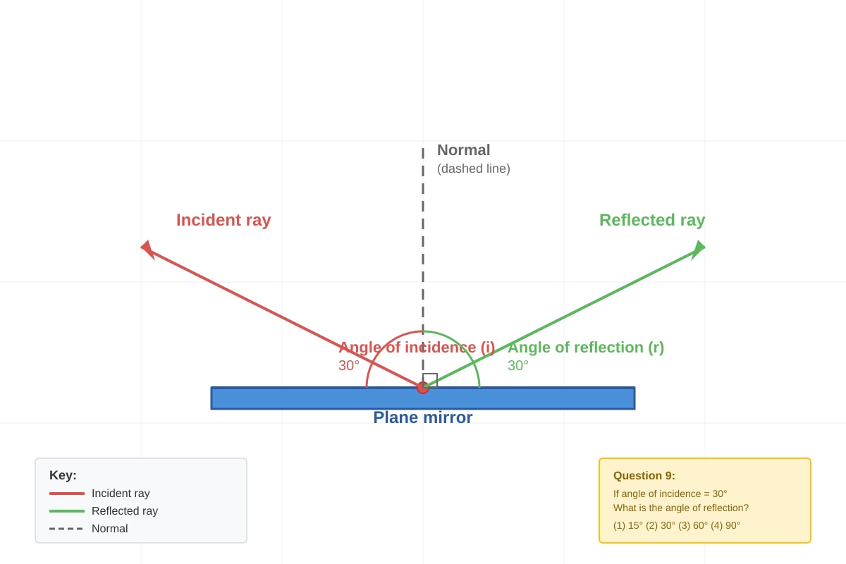 Diagram for Q9 (P4 Science)