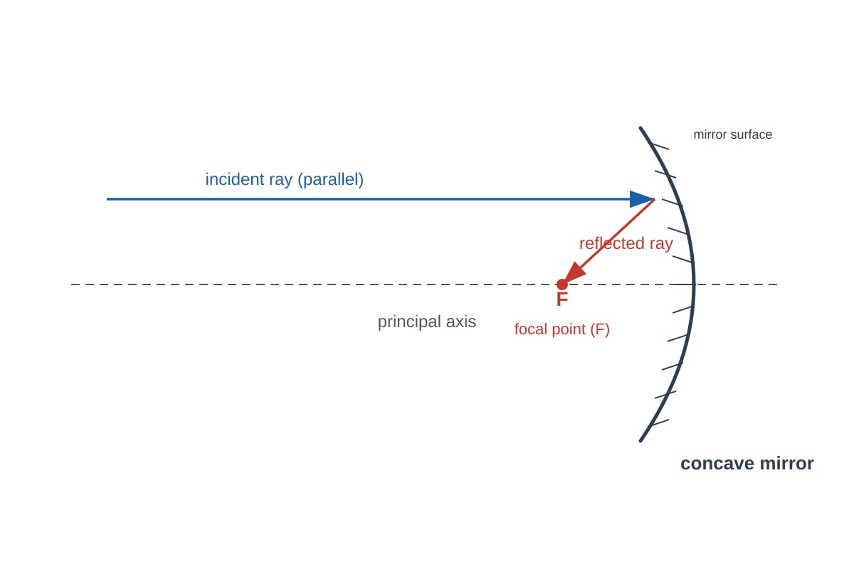 Diagram for Q17 (P6 Science)