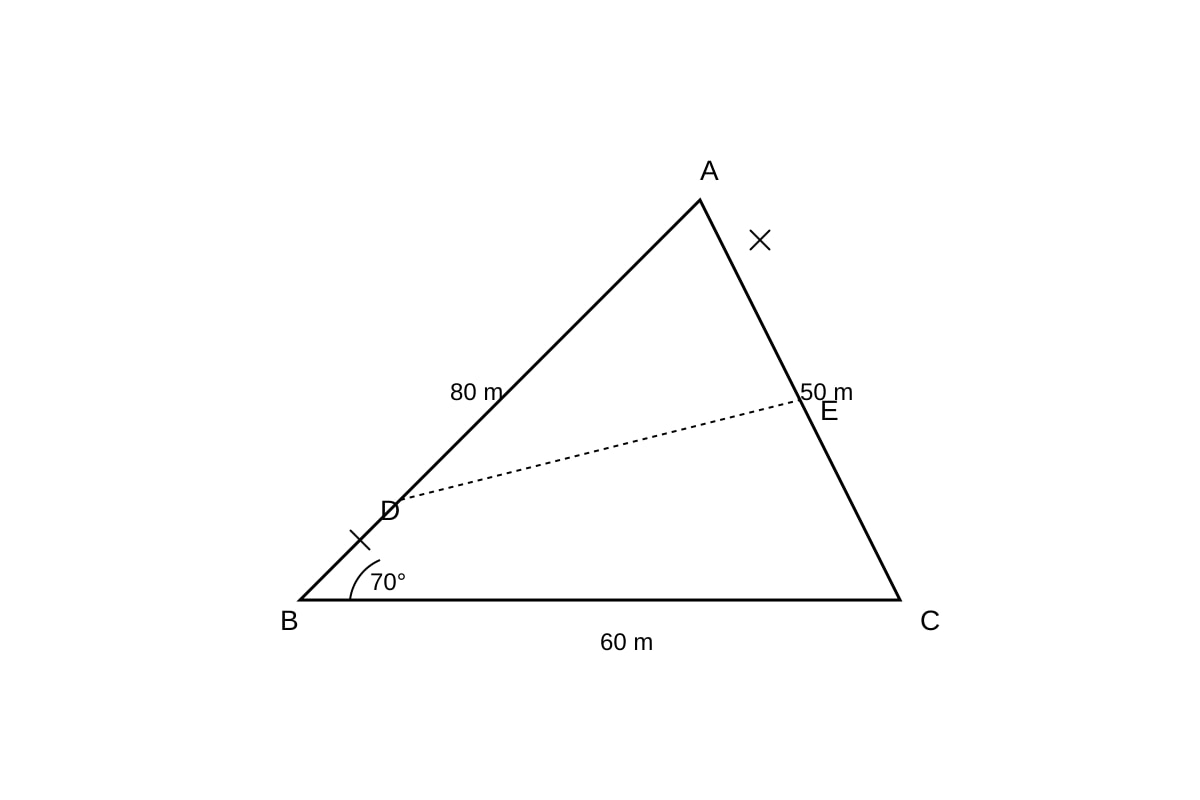 Diagram for Q20 (SEC3 Emaths)