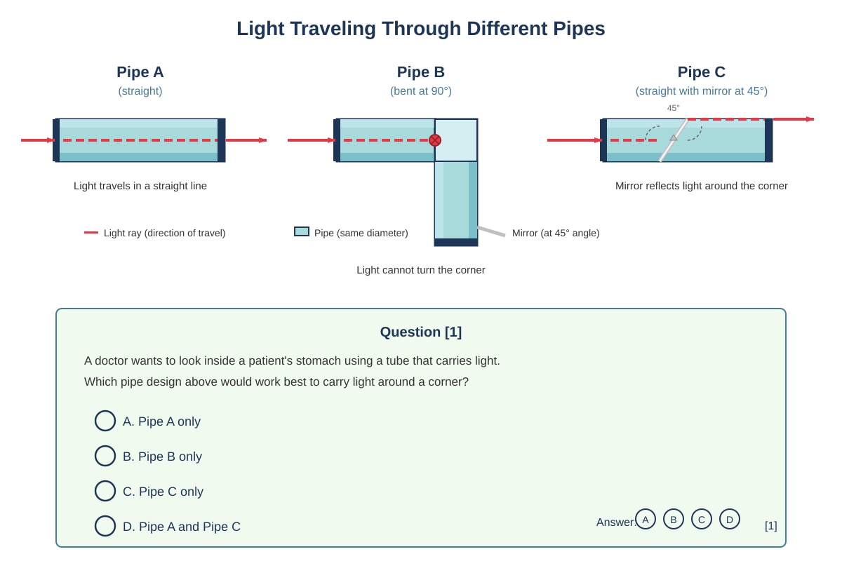 Diagram for Q6 (P4 Science)