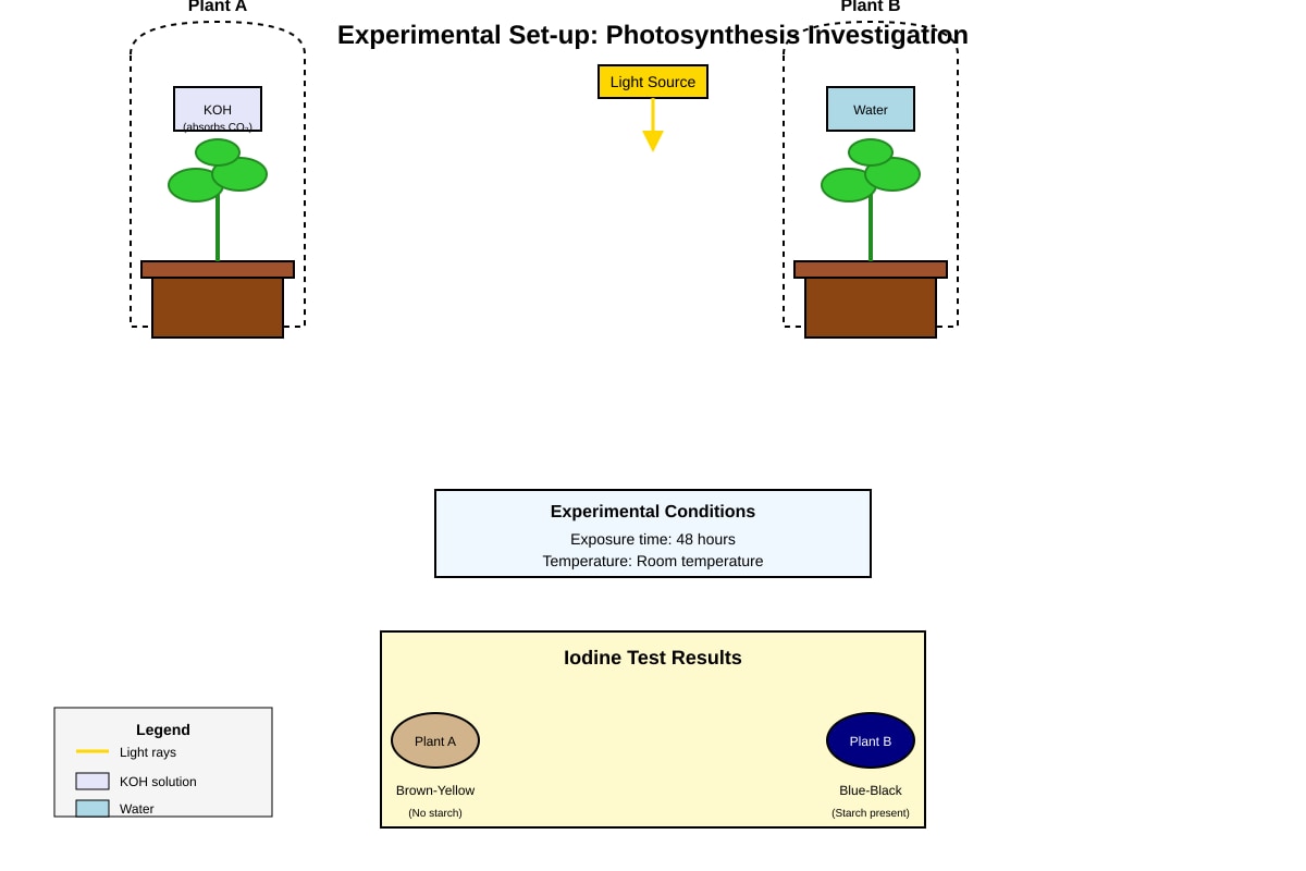 Experimental Setup for Q14 (SEC3 Combined Science)