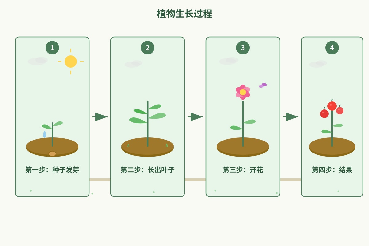 Diagram for Q21 (P6 Chinese)