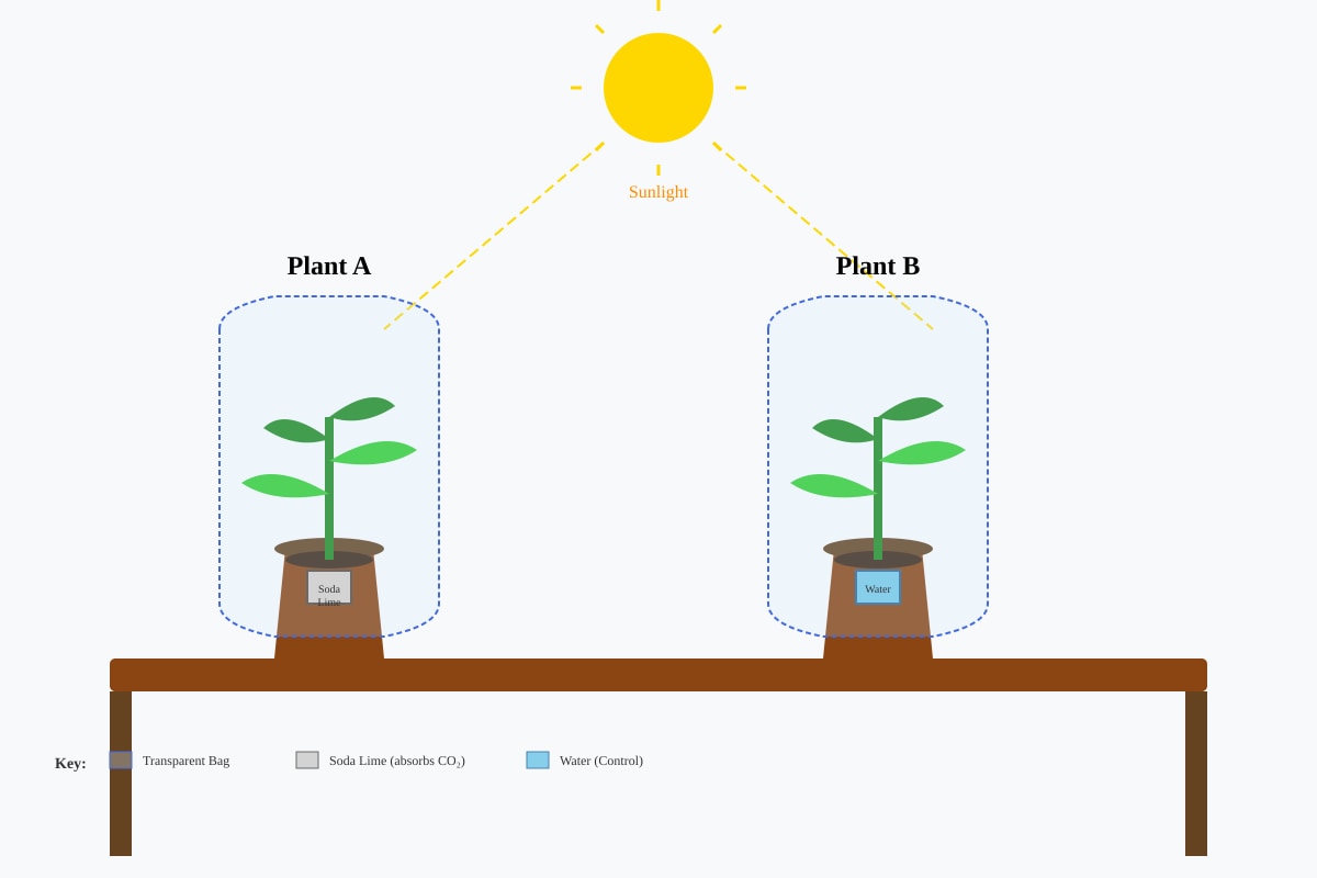 Experimental Setup for Q11 (P5 Science)