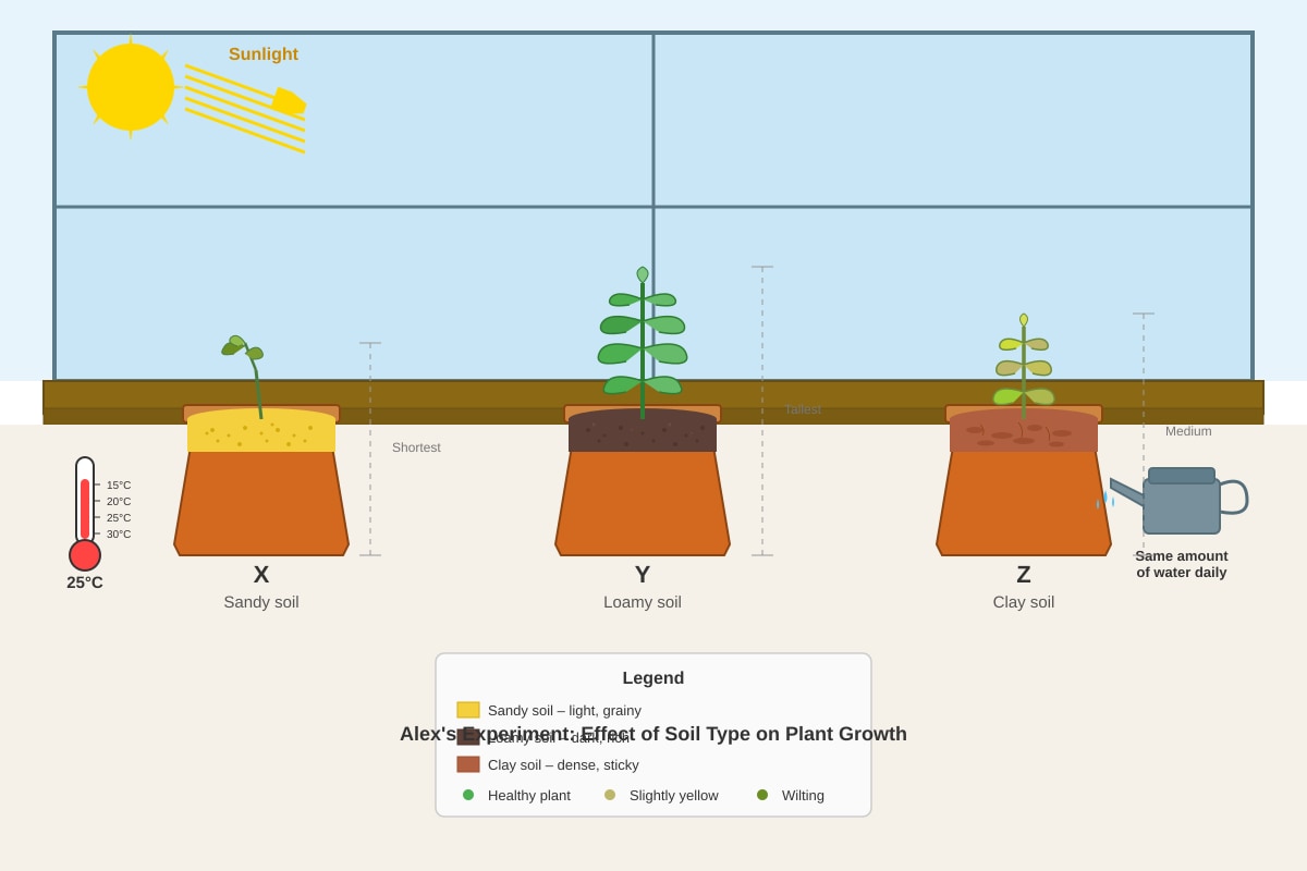 Experimental Setup for Q17 (P4 Science)