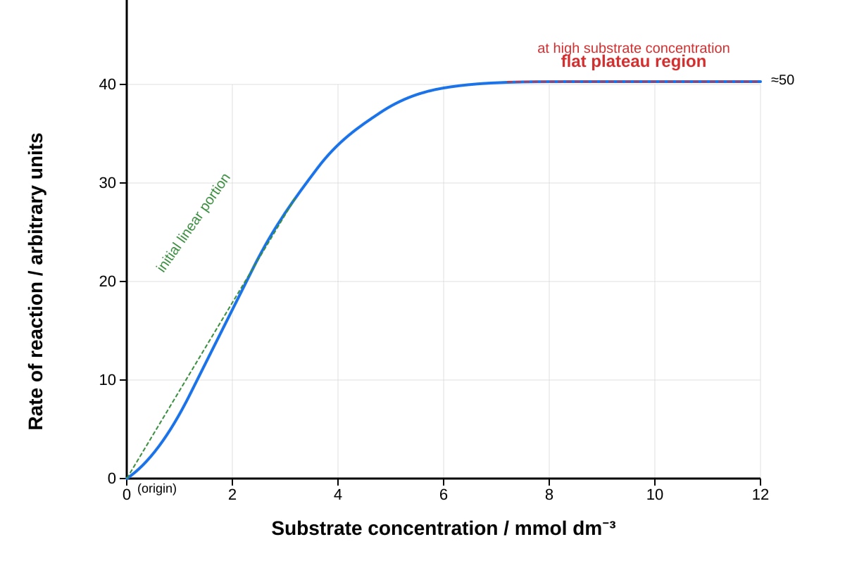 Graph for Q20 (SEC3 Biology)