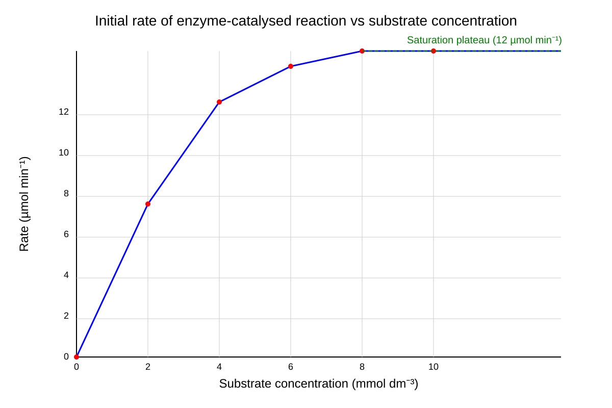 Graph for Q10 (ALEVEL Biology H2)