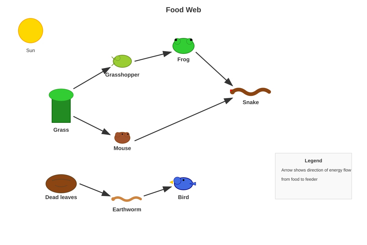 Diagram for Q9 (P5 Science)