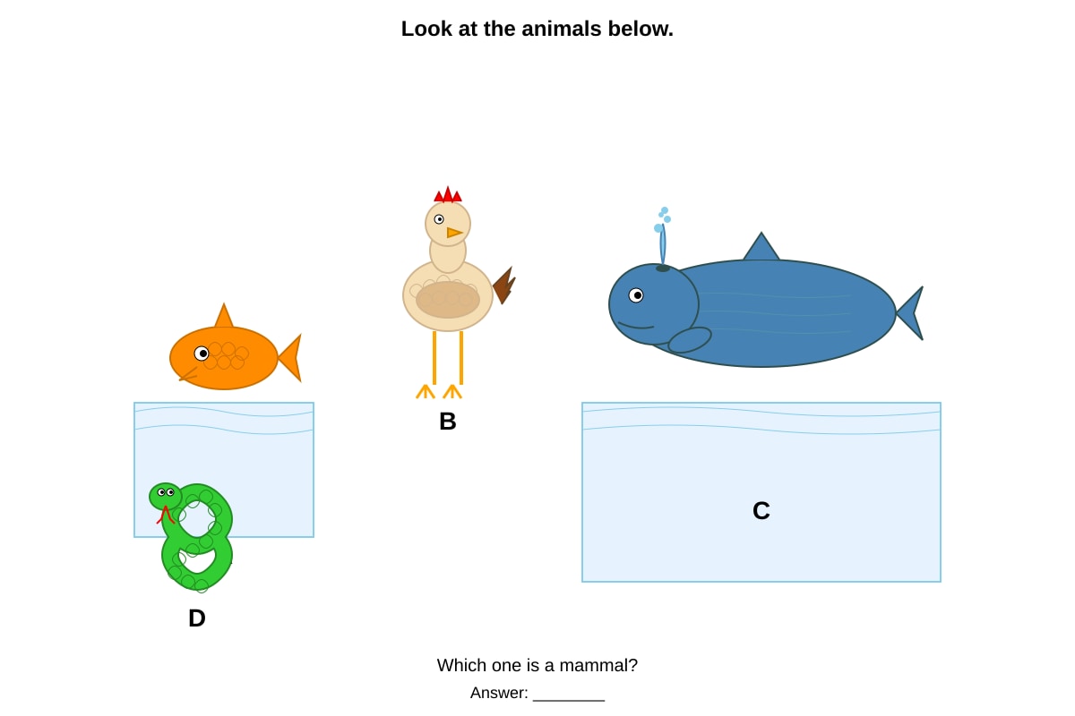 Diagram for Q12 (P3 Science)