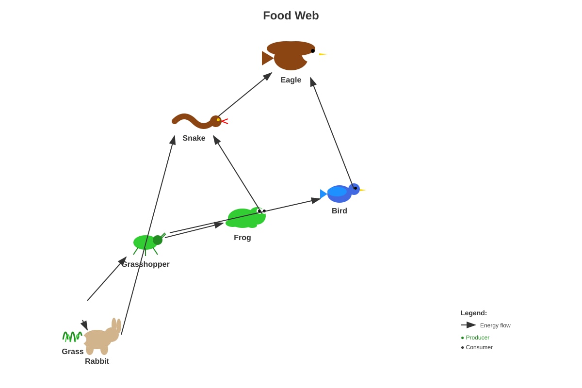 Diagram for Q3 (P6 Science)
