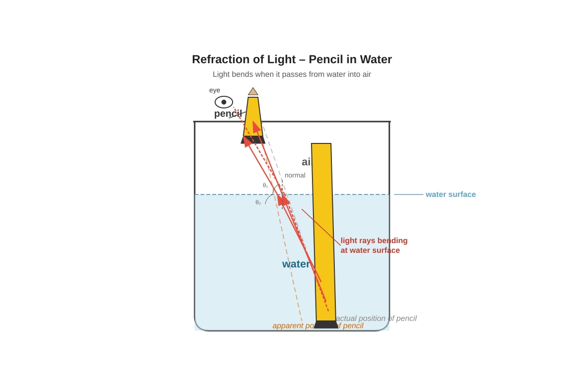 Diagram for Q10 (P6 Science)