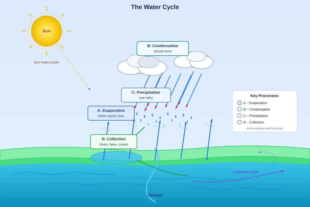 Diagram for Q20 (P4 Science)