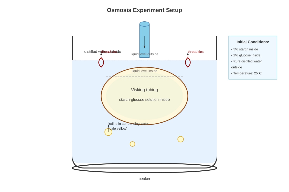 Experimental Setup for Q15 (SEC3 Biology)