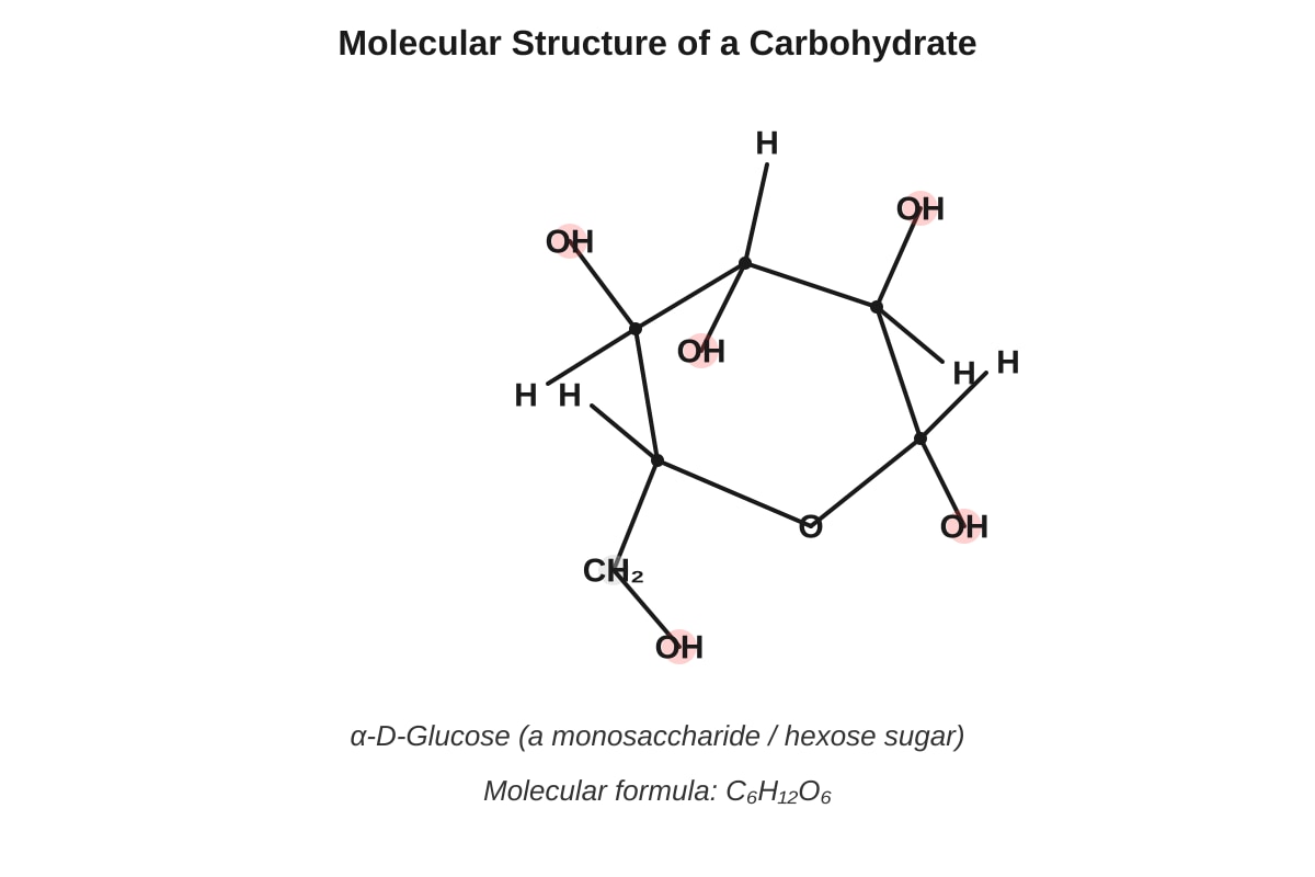 Diagram for placeholder 5 (SEC4 Combined Sci Bio)