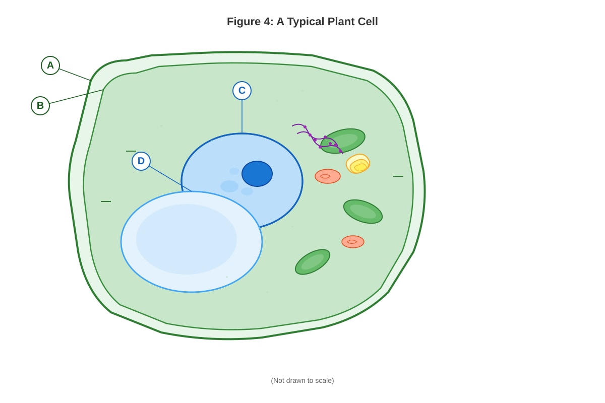 Figure for placeholder 4 (SEC2 Science)