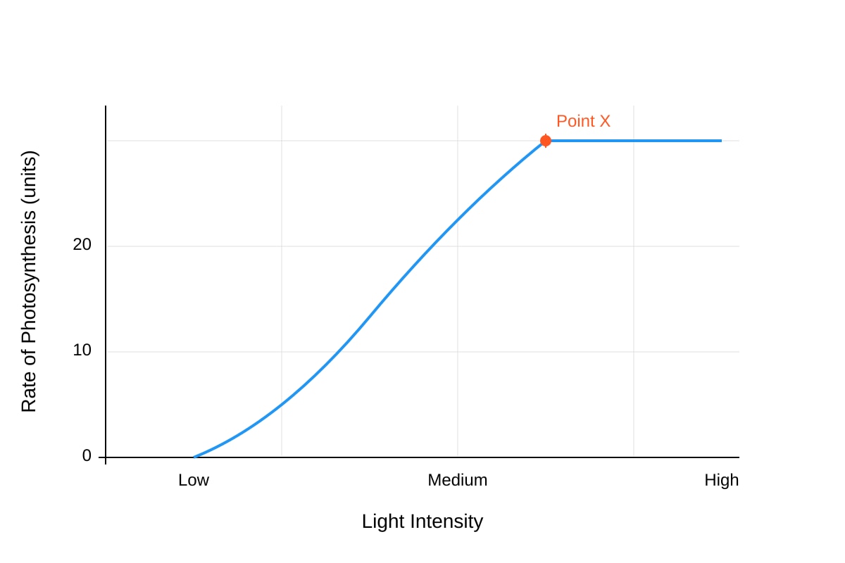 Graph for Q13 (P5 Science)