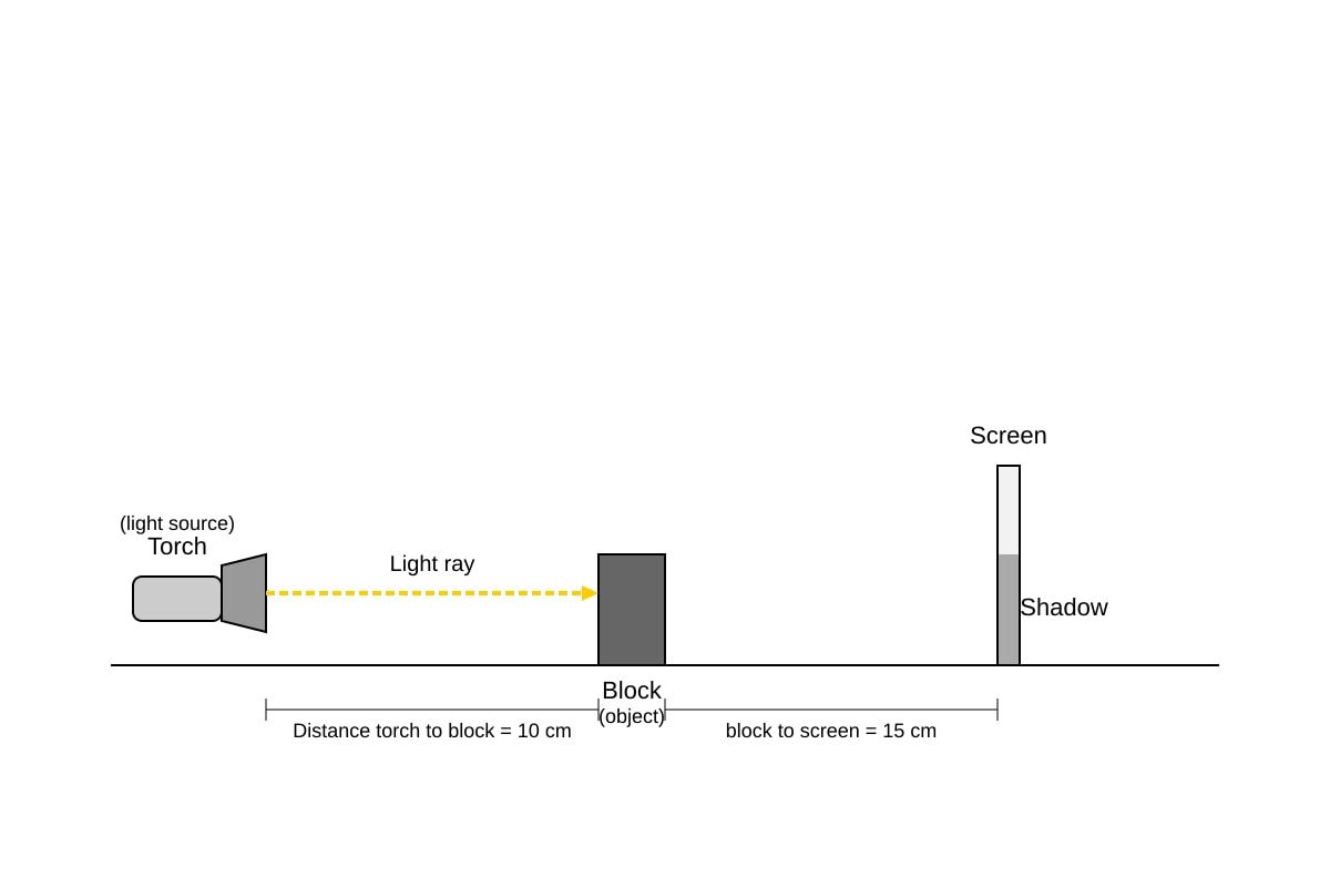 Experimental Setup for Q19 (P4 Science)